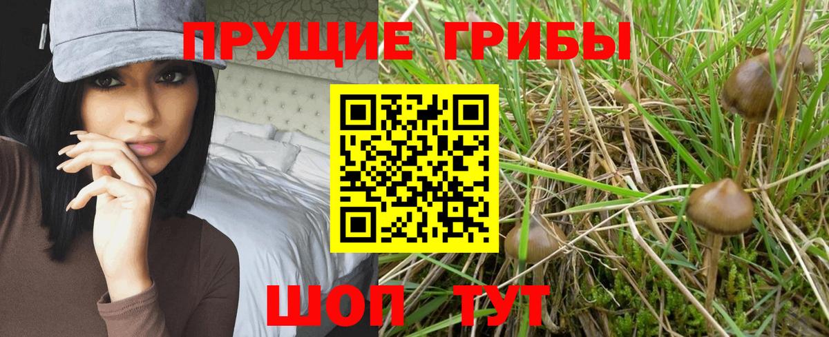 Ростов Великий  Галлюциногенные грибы GOLDEN TEACHER  Вход с VPN 