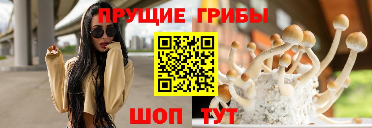Псилоцибиновые грибы Magic Shrooms Ростов Великий